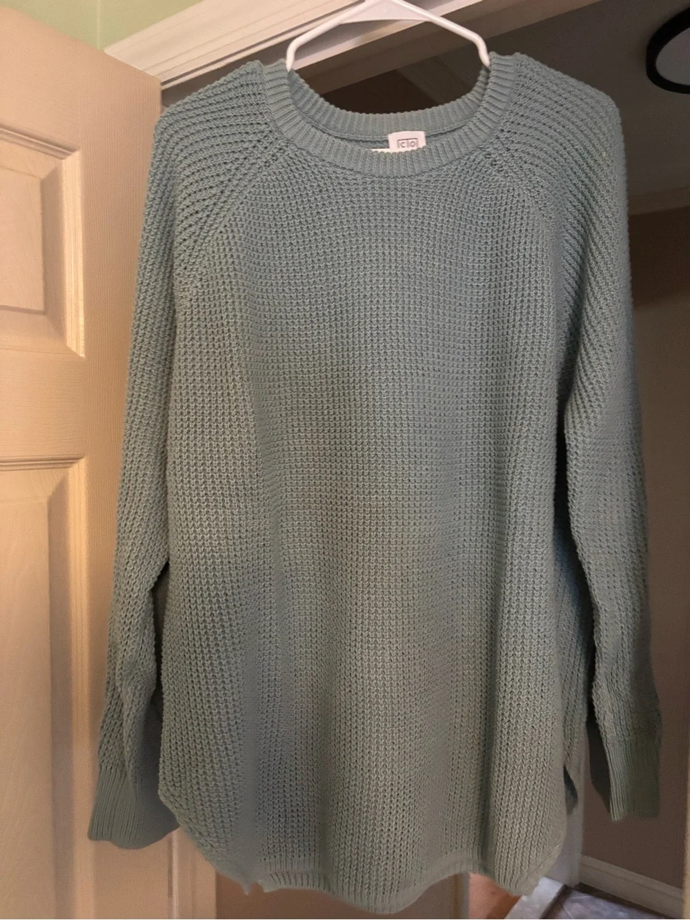 Cozy Mint Crewneck Knit Sweater